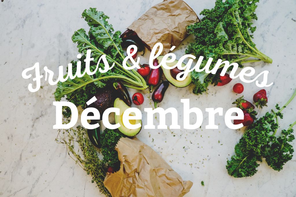 Lees meer over het artikel Wat kun je in december planten?&nbsp;