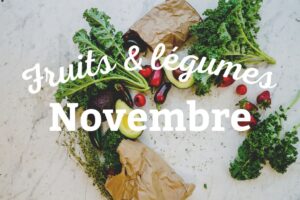 Lees meer over het artikel Wat kun je in november planten?