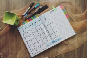 Lees meer over het artikel Plantkalender voor de moestuin en de tuin
