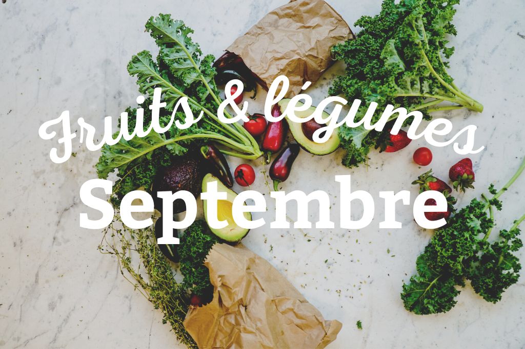 Lees meer over het artikel Wat kun je in september planten?