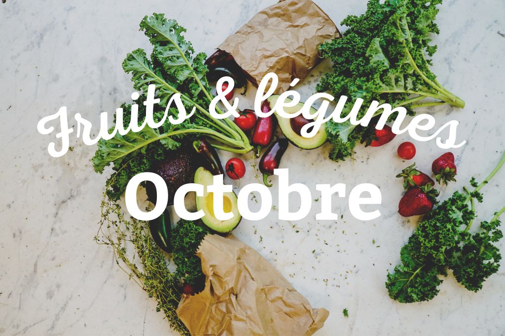 Lees meer over het artikel Wat kun je in oktober planten?