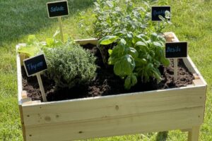 Lees meer over het artikel Wat kun je in een moestuinbak planten?