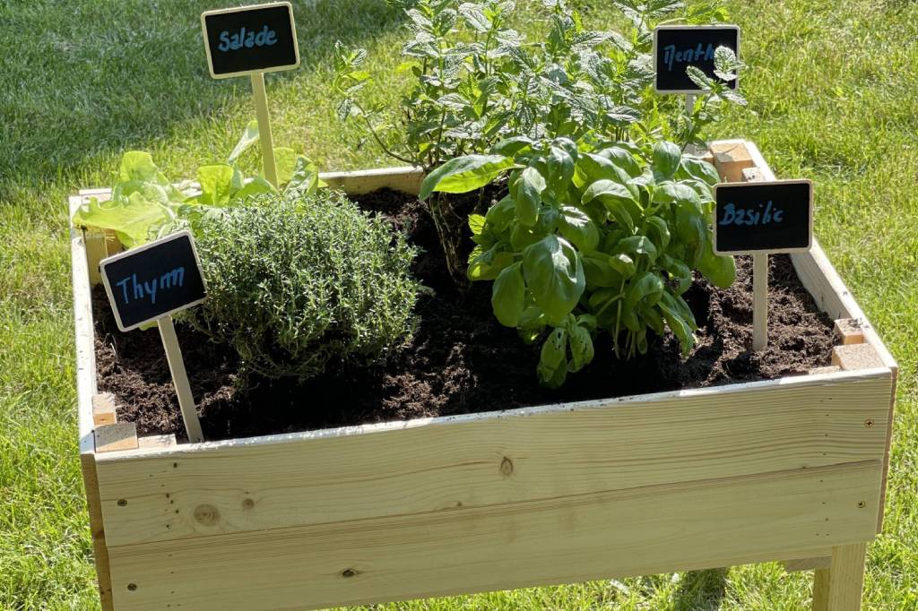 Lees meer over het artikel Wat kun je in een moestuinbak planten?