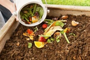Lees meer over het artikel Hoe kies je een compostbak?