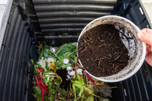 Lees meer over het artikel Hoe kies je een wormcomposter?